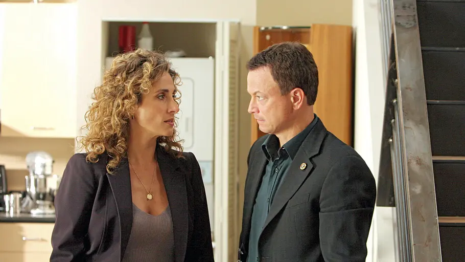 CSI: NY csi: ny