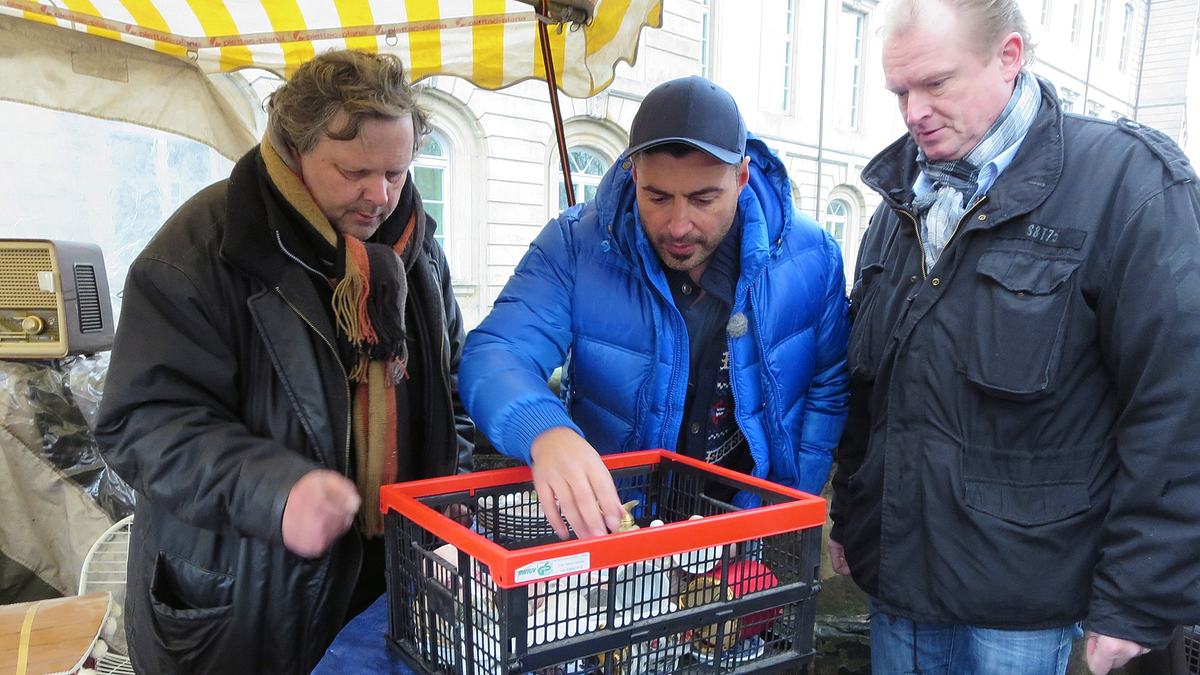 der trödeltrupp - das geld liegt im keller