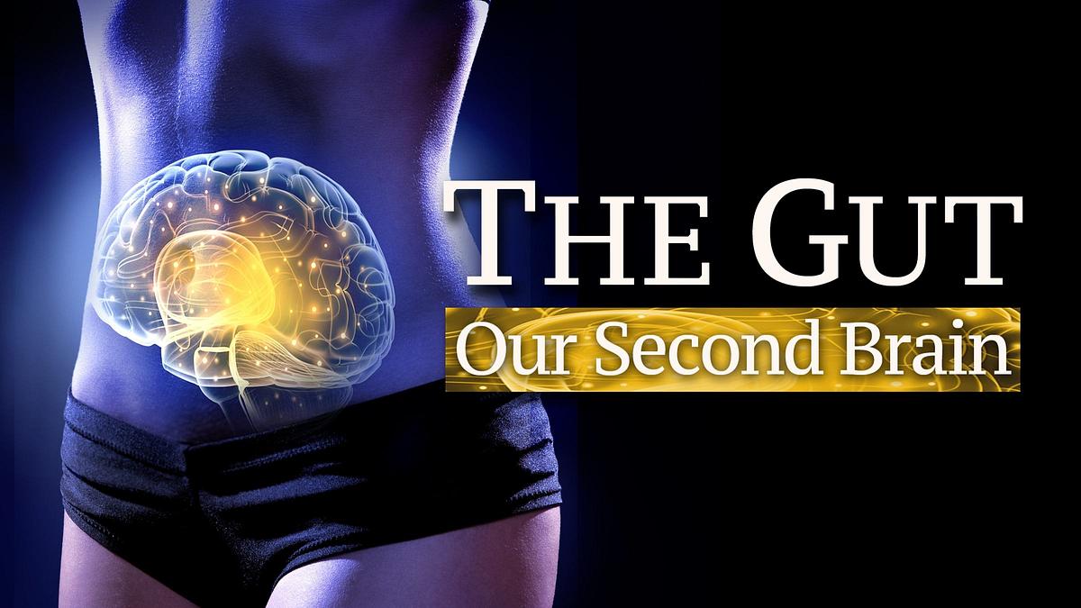 Der kluge Bauch – Unser zweites Gehirn Der kluge Bauch – Unser zweites Gehirn