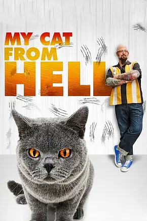 Der Katzenflüsterer - Foto: TMDB Der Katzenflüsterer - Foto: TMDB