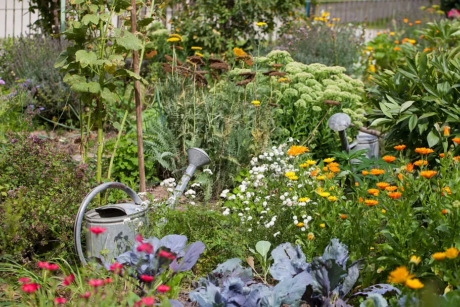 Garten & Lecker