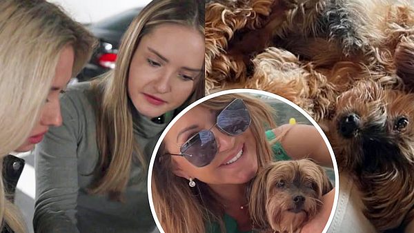 Davina und Shania Geiss sind traurig. Auch Mama Carmen trauert um Maddox - Foto: RTL2, Instagram/Camen-Geiss, Instagram/Davina-Geiss