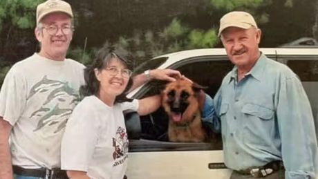 Nicht Gene Hackmans Schäferhund Bear, sondern Kelpie-Mischling Zinna ist tot - Foto: Facebook/Animal Recue Inc.