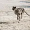 GEO Reportage Thumbnail