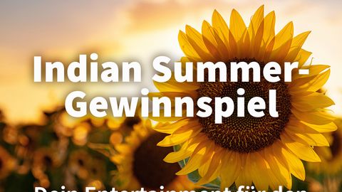 Feld mit Sonnenblumen als Titelbild für das Indian Summer Gewinnspiel von TV Movie - Foto: TVMovie & iStock (Santiaga)