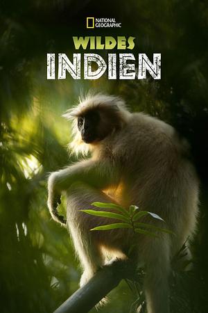 Secrets of Wild India - Foto: TMDB