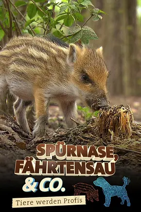 Spürnase, Fährtensau & Co. - Foto: TMDB