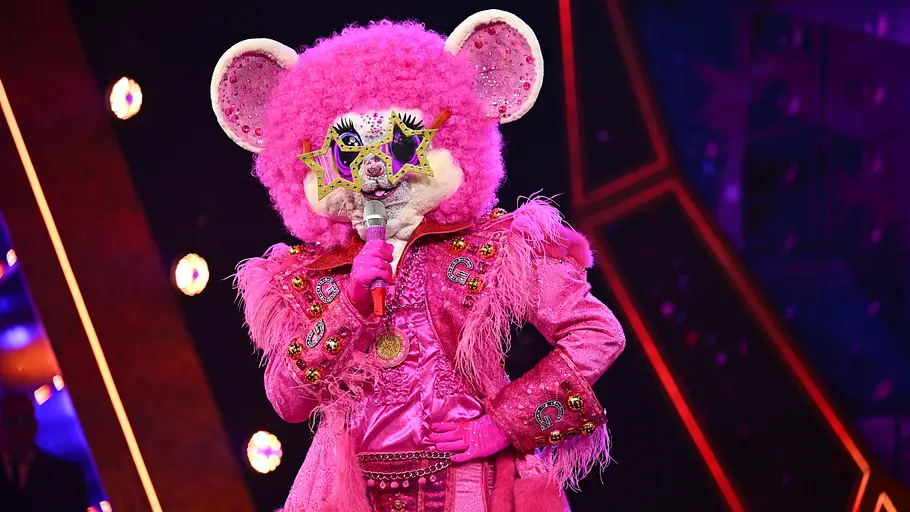 Groovy bringt Stimmung in die Bude. Groovy, eine Person im pinken Bärenkostüm mit Sternenbrille und glitzernder Fransenjacke, hält ein Mikrofon auf einer Bühne.