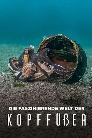 Die faszinierende Welt der Kopffüßer - Foto: TMDB