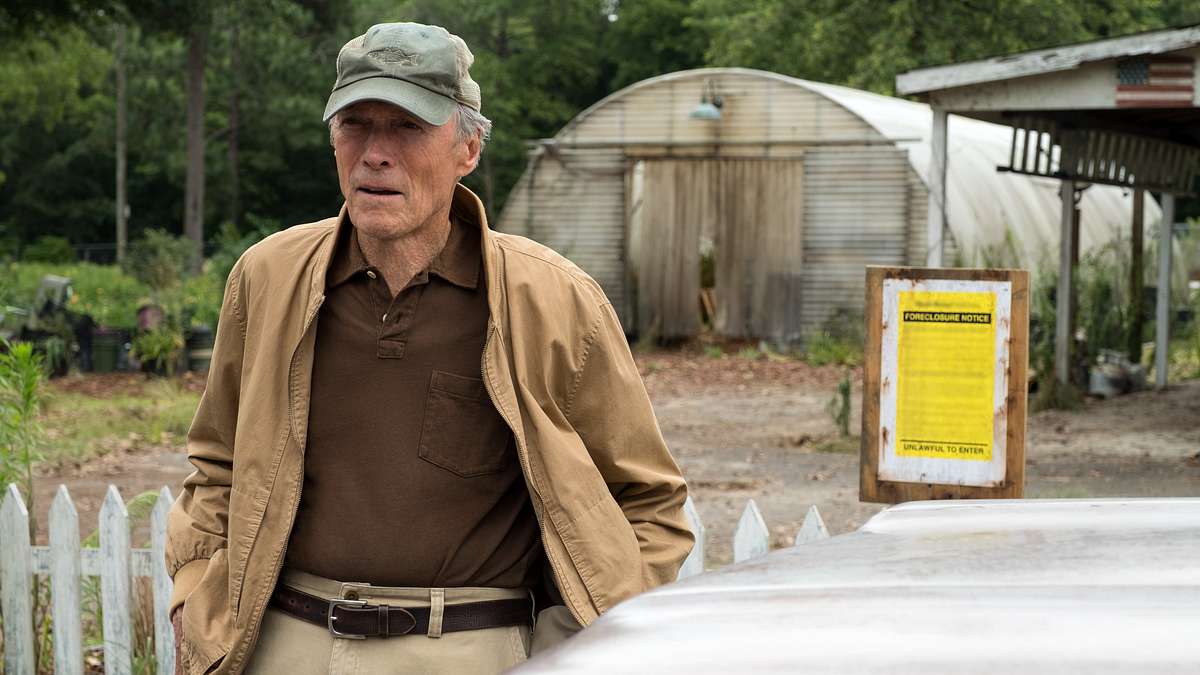 The Mule The Mule