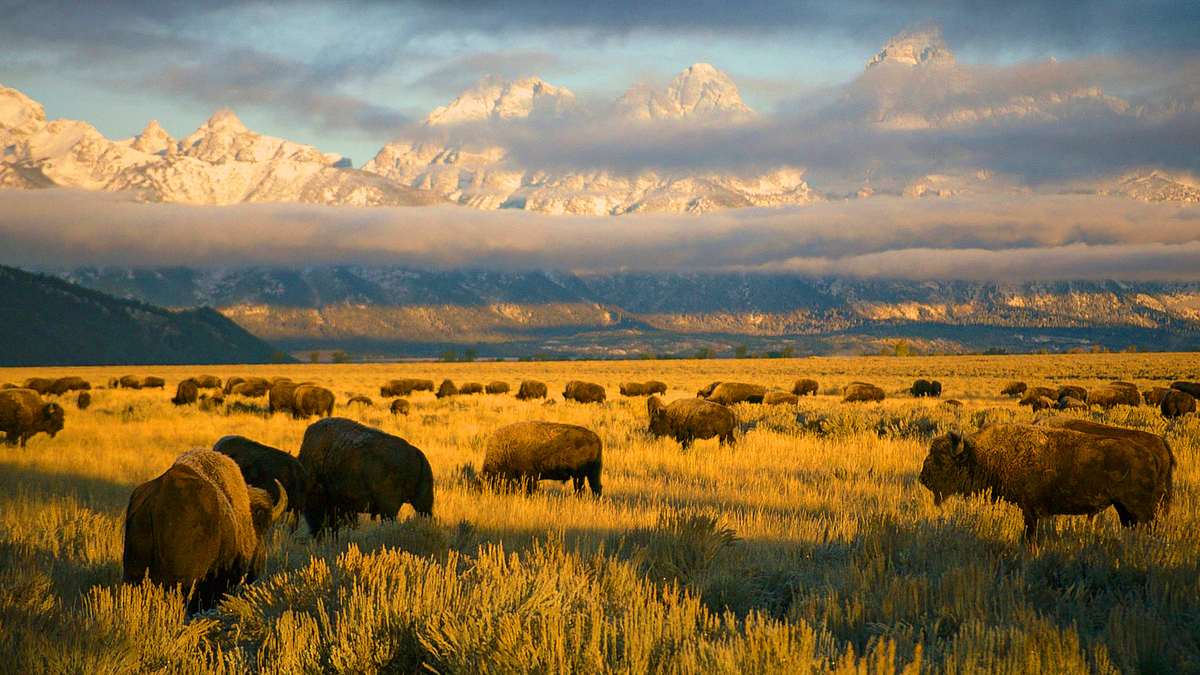 Amerikas Nationalparks Amerikas Nationalparks