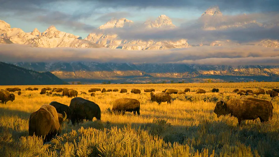 Amerikas Nationalparks Amerikas Nationalparks