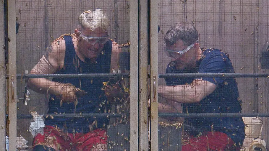 Hubert Fella und Hardy Krüger bei einer Dschungelprüfung Hubert Fella und Hardy Krüger bei einer Dschungelprüfung