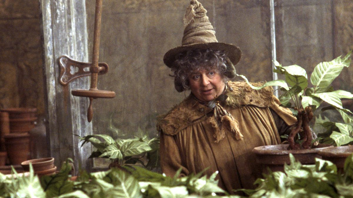 Miriam Margolyes als Professor Sprout. Professor Sprout im Hogwarts-Unterrichtsraum für Kräuterkunde.