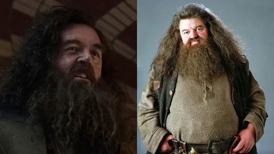 „Harry Potter“ Zwei Darstellungen von Hagrid mit langen Haaren und dichtem Bart: links eine Nahaufnahme, rechts mit Weste und breitem Gürtel.