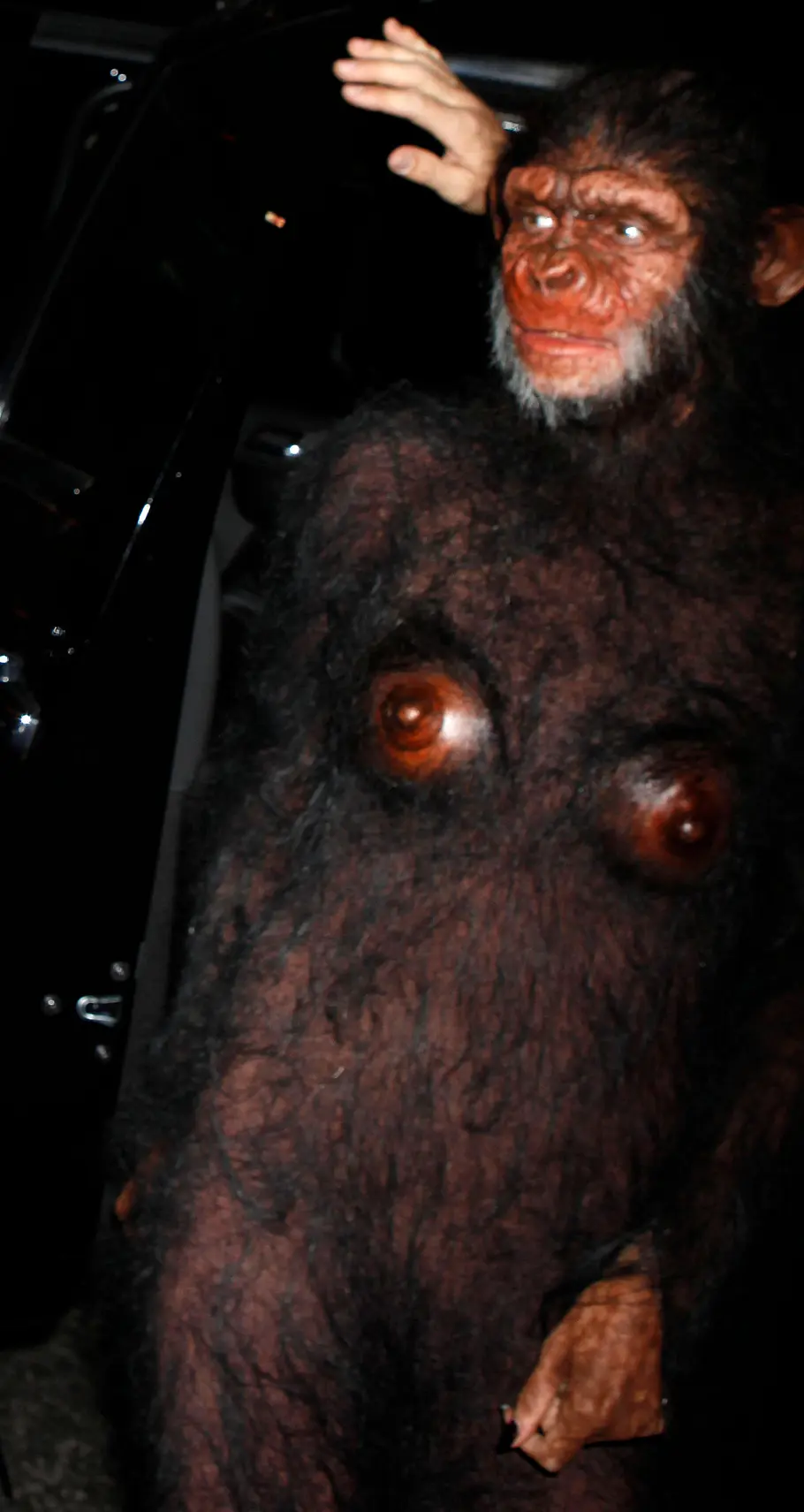 Heidi Klum zu Halloween 2011 als Affe Heidi Klum trug zu Halloween 2011 ein dunkles, behaartes Affenkostüm mit plastischer Gesichtsmaske und steht neben einer offenen Autotür.