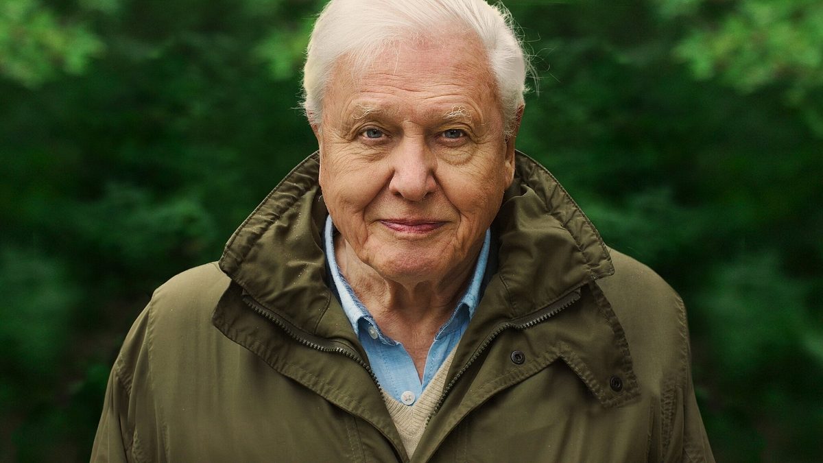 David Attenborough: Mein Leben auf unserem Planeten