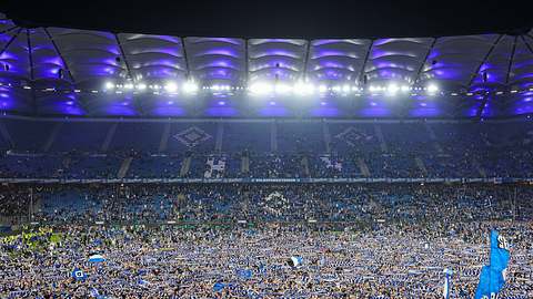 Volksparkstadion voller Menschen, die auf dem Rasen feieren - Foto:  IMAGO / osnapix