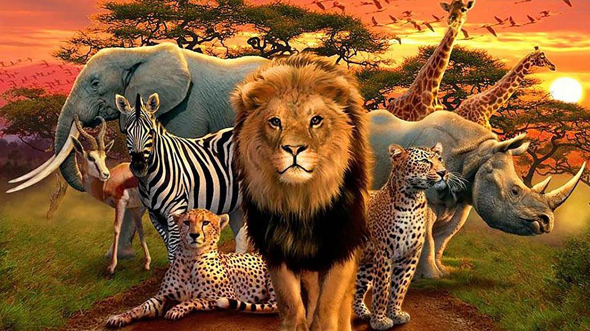 Great Species of Africa