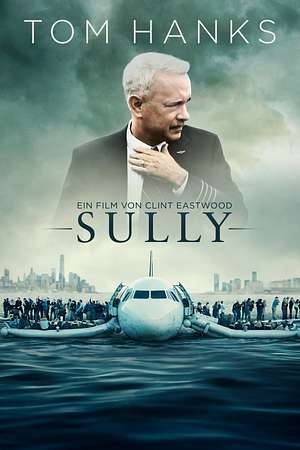 Sully - Foto: TMDB