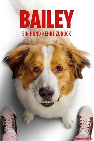 Bailey - Ein Hund kehrt zurück - Foto: TMDB