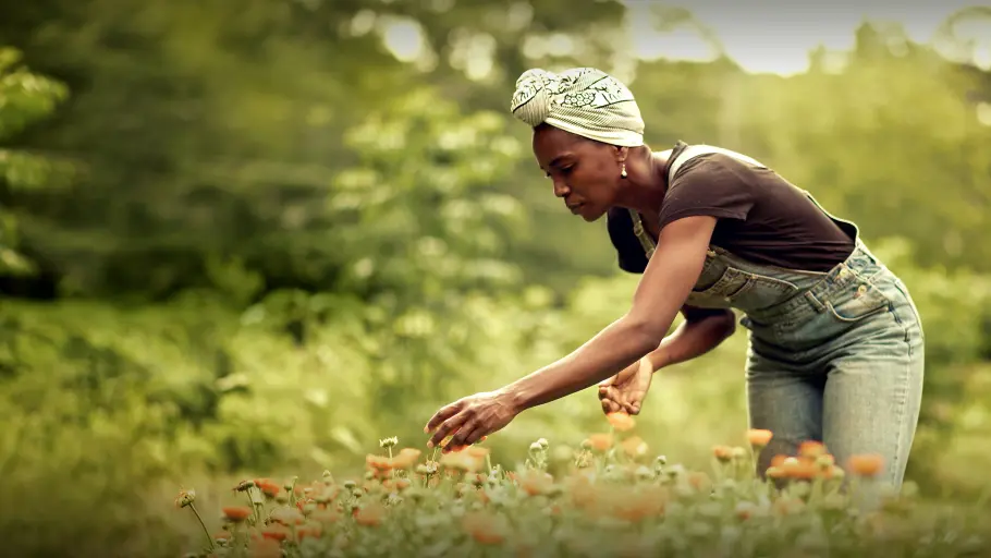Homegrown - Aus Liebe zum Garten