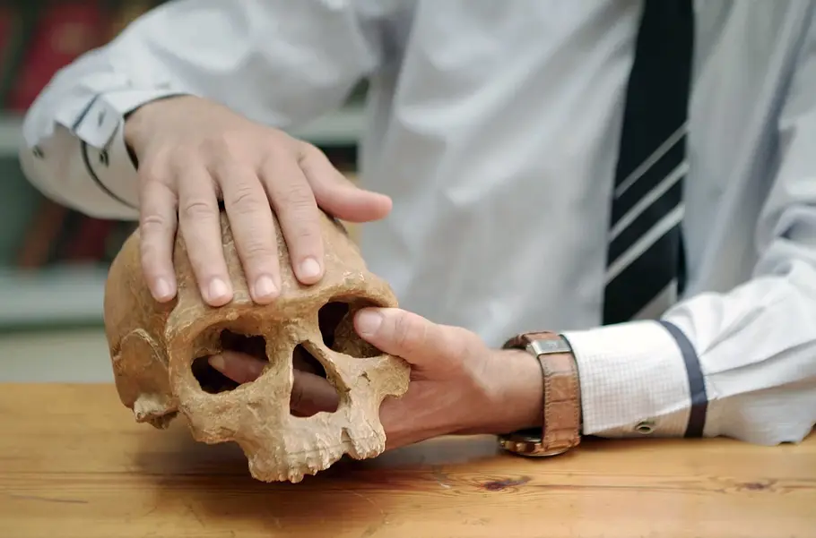 Homo sapiens - Vom wahren Ursprung des Lebens