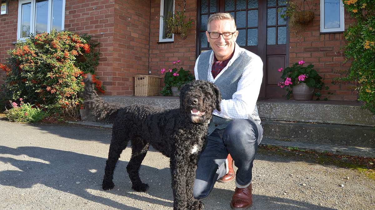 Hunde außer Kontrolle