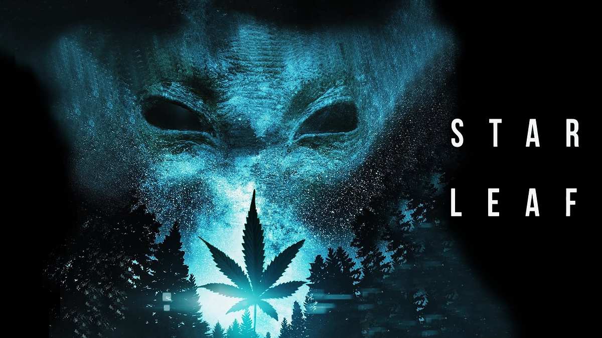 Star Leaf Star Leaf