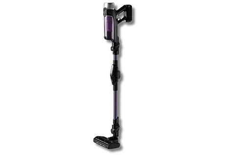 ROWENTA RH2039 X-Force Flex 9.60 Allergy Stielsauger