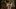 Video Platzhalter Video Platzhalter