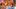 Video Platzhalter Video Platzhalter