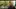 Video Platzhalter Video Platzhalter