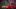 Video Platzhalter Video Platzhalter