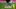 Video Platzhalter Video Platzhalter
