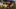Video Platzhalter Video Platzhalter