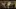 Video Platzhalter Video Platzhalter