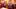 Video Platzhalter Video Platzhalter