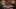 Video Platzhalter Video Platzhalter