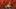 Video Platzhalter