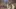 Video Platzhalter Video Platzhalter