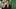Video Platzhalter Video Platzhalter