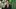 Video Platzhalter Video Platzhalter