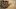 Video Platzhalter Video Platzhalter