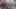 Video Platzhalter