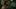 Video Platzhalter Video Platzhalter