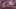 Video Platzhalter Video Platzhalter