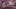 Video Platzhalter