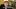 Video Platzhalter Video Platzhalter