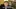 Video Platzhalter